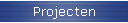 Projecten