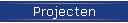 Projecten
